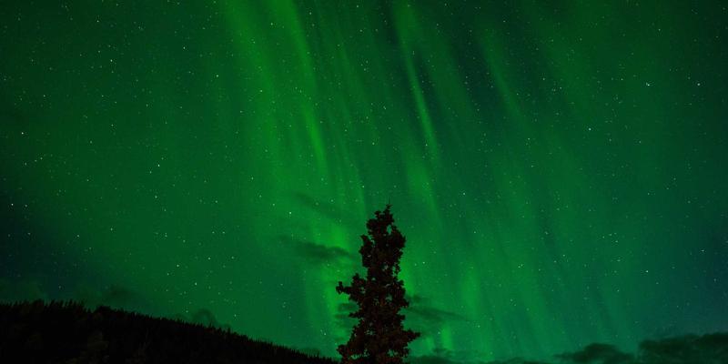 中国外销瓷收藏指南：跨越千年的贸易瑰宝，历史、特色与真伪鉴别全解析