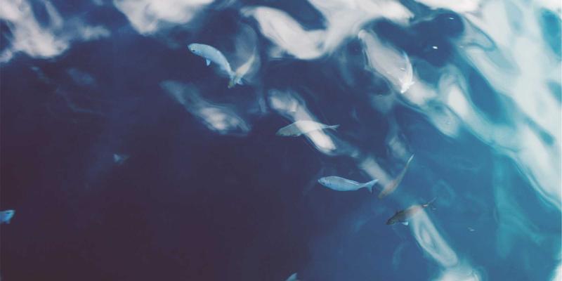 古董地毯收藏指南：辨识波斯、土耳其与中国地毯的纹样、工艺与市场价值