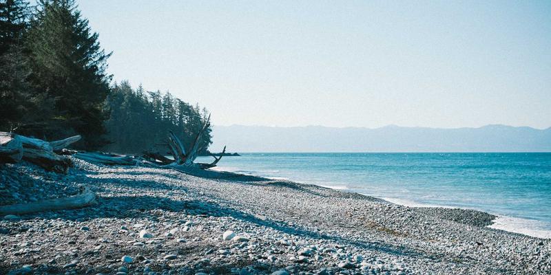 名人信札与手稿收藏：历史价值、真伪鉴别与市场动态全解析