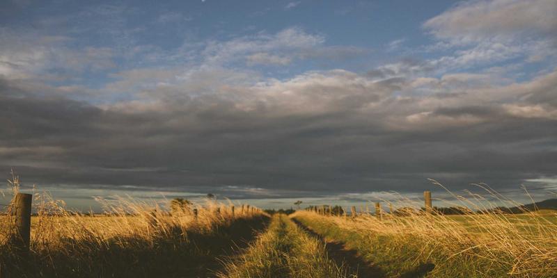 收藏品投资入门指南：三大维度精准识别有升值潜力的藏品