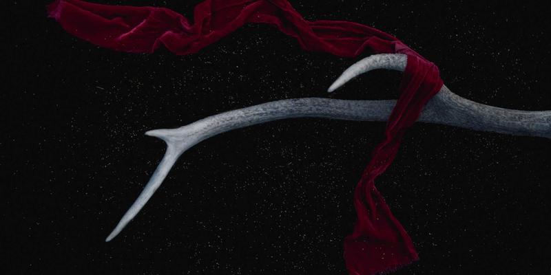 翡翠玉石鉴赏入门：掌握种、水、色、工四大核心评判标准