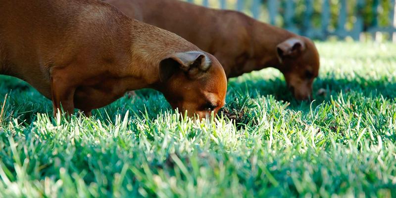 腕表收藏投资终极指南：从工艺、品牌到保值性的深度解析