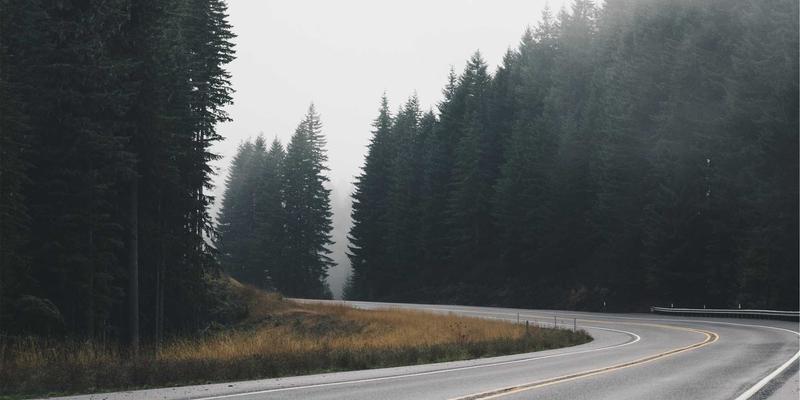 邮票收藏的黄金法则：从错版珍邮到专题集邮的价值挖掘策略