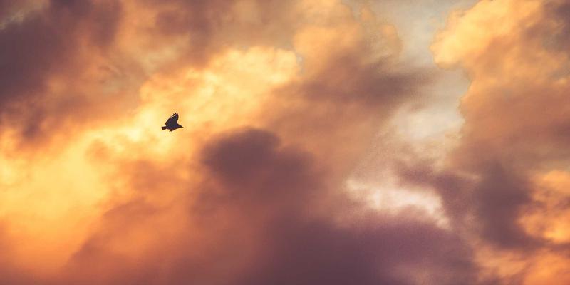 陶瓷收藏进阶指南：从明清官窑到现代名窑的鉴赏要点与市场价值全解析