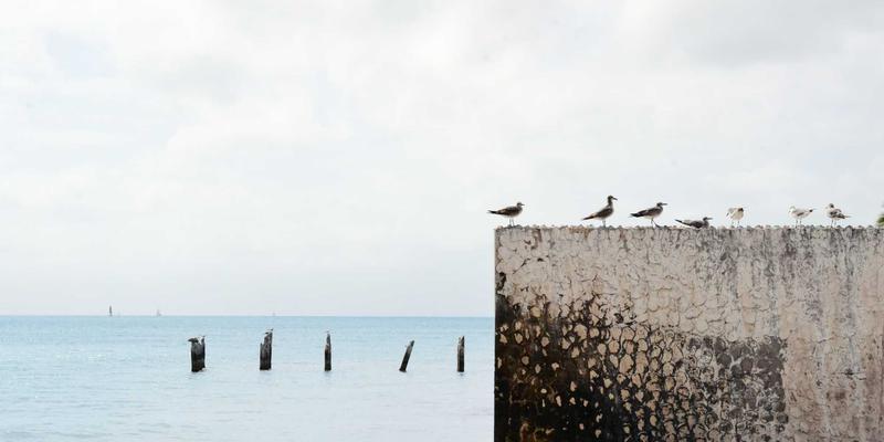 黑胶复兴浪潮：老唱片收藏鉴赏指南与经典录音版本保存技巧